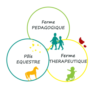 3 sources - Ferme pedagogique - Ferme Therapeutique - centre équestre - écuries - sancoins - Nevers 