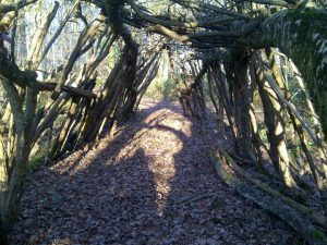 Forêt pédagogique - Ferme 3 Sources - Sancoins