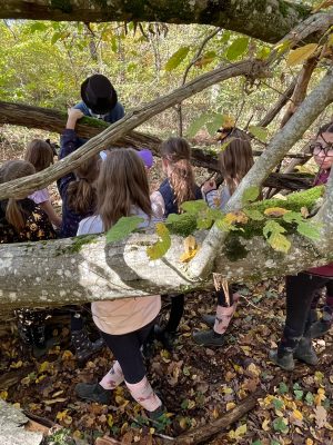 Activités nature, jeux dans la forêt, cabanes...