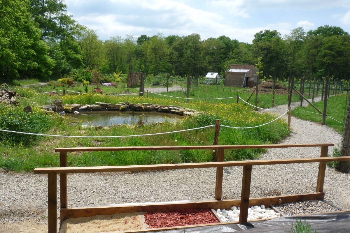 Ferme 3 Sources - pédagogique, thérapeutique, centre équestre, Sancoins