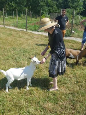 Participation à la vie de la ferme et de la colo