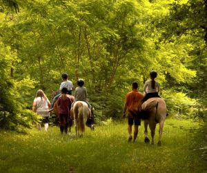 Forêt de 10ha avec allées cavalières